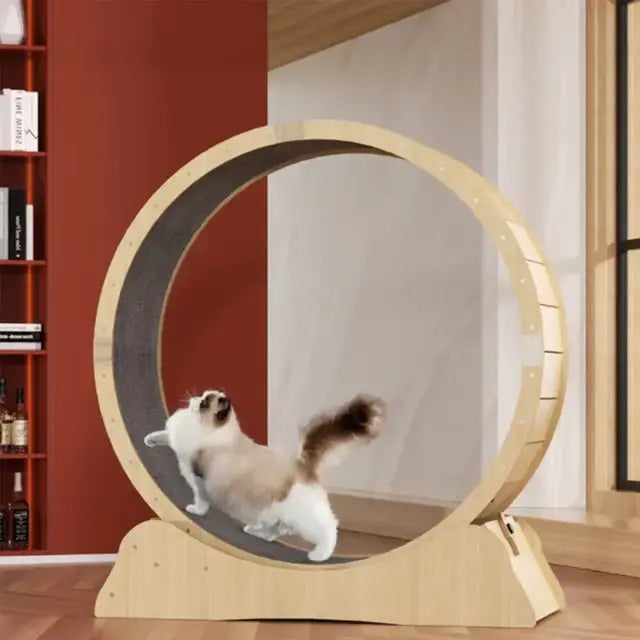 Cat Exercise Wheel - Cat Treadmill Eduspark Toys