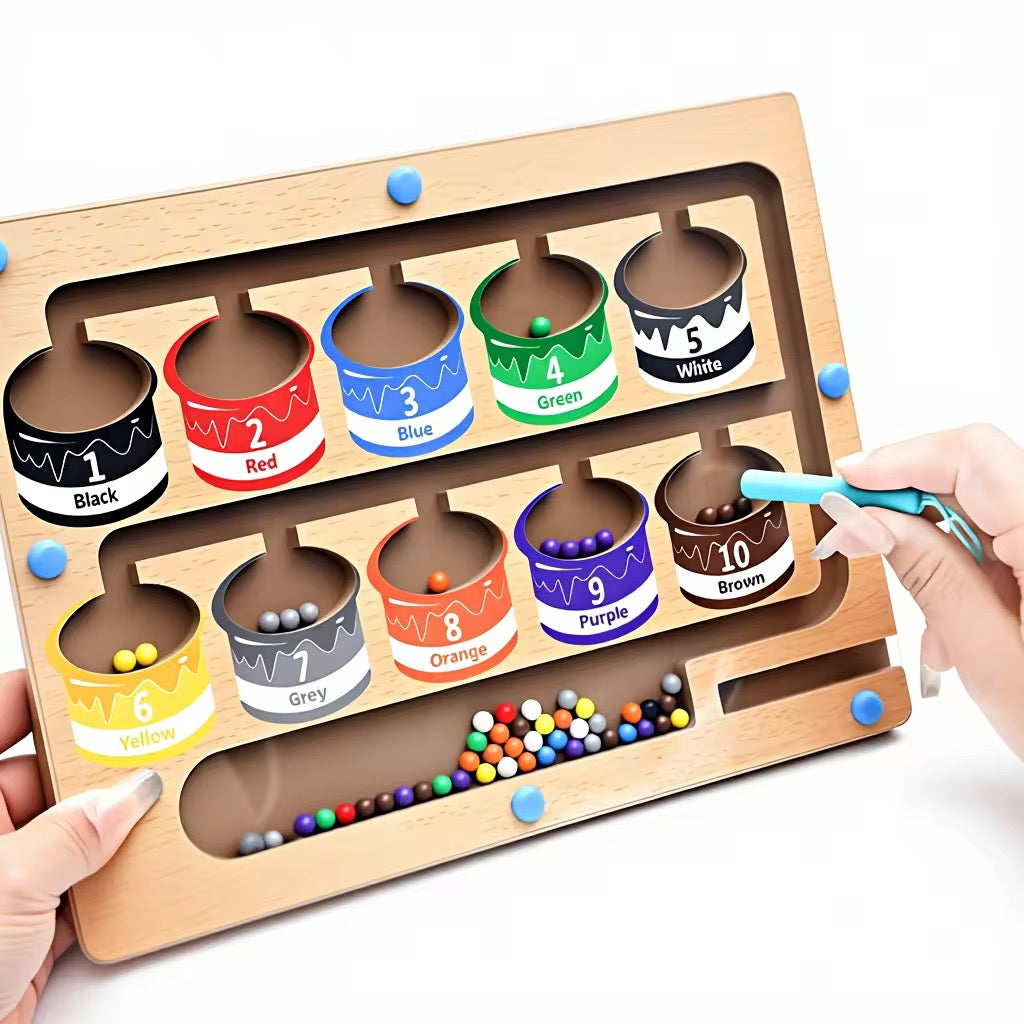 Wooden Color Sorting & Counting Maze | Montessori Fine Motor Board for ...