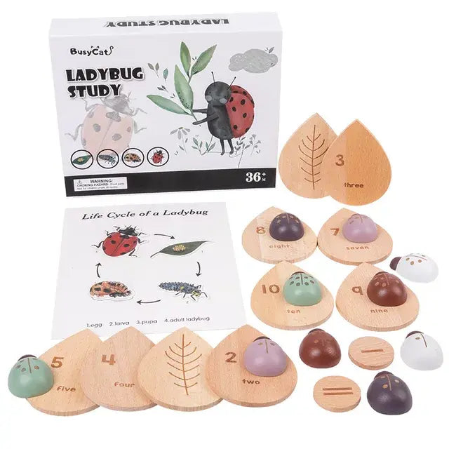 Wind Study Ladybug Ladybug Study - Eduspark Toys