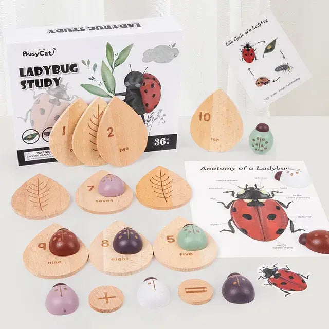 Ladybug Study Eduspark Toys