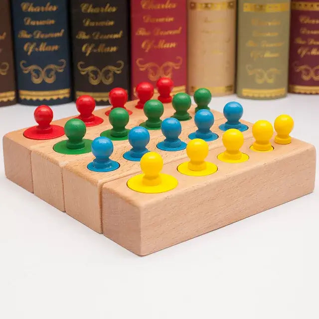 Montessori Wooden Knob Cylinders