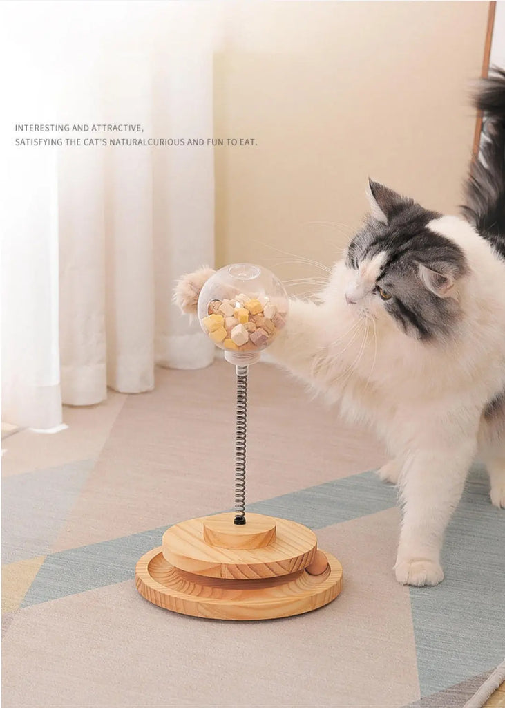 Turntable & Pet Food Dispenser Cat Toy Eduspark Toys