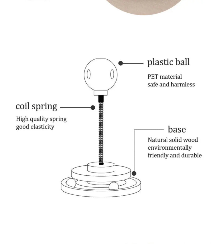 Turntable & Pet Food Dispenser Cat Toy Eduspark Toys
