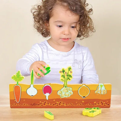 Vegetable Matching Cognitive Puzzle Eduspark Toys