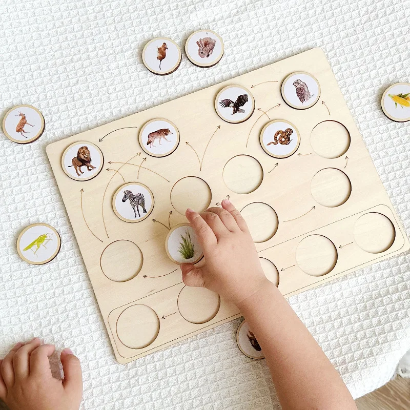 Montessori Animal Ecological Food Chain Cognition Board Eduspark Toys